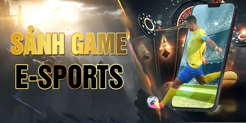 Cá cược Esport online thỏa đam mê kiếm tiền