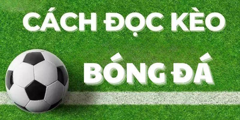 Cách Đọc Kèo Bóng Đá Tại 23win Dễ Hiểu Và Xác Suất Thắng Cao