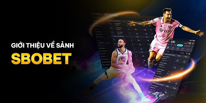 Sảnh thể thao 23win SBOBEt